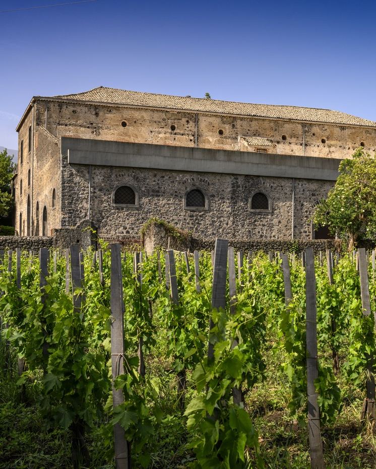 The Graci winery in Passopisciaro, surrounded by vineyards