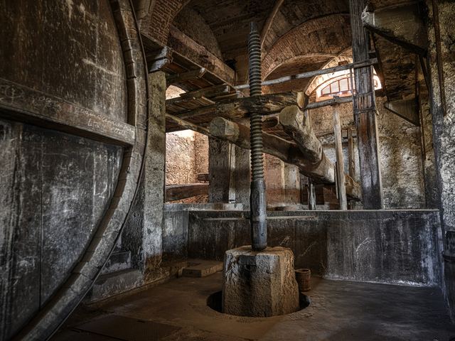 The wine press inside the 19th-century palmento